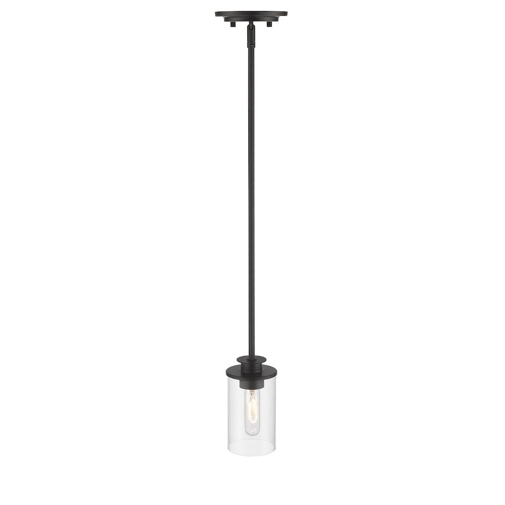 Z-Lite 1 Light Pendant. Picture 2