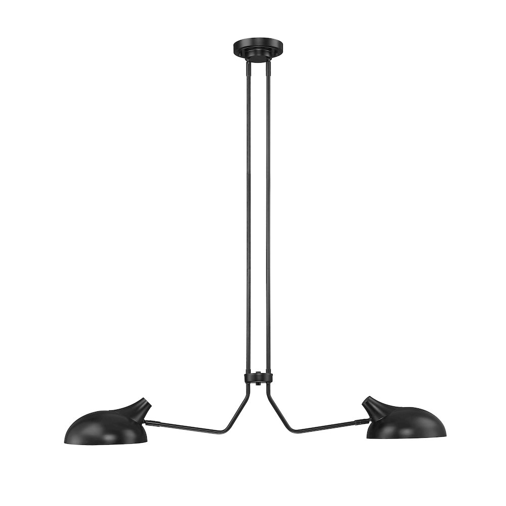 Z-Lite 2 Light Linear Chandelier. Picture 2