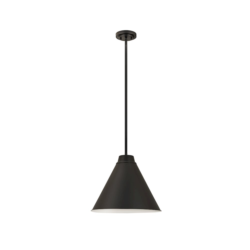 Z-Lite 1 Light Pendant. Picture 5