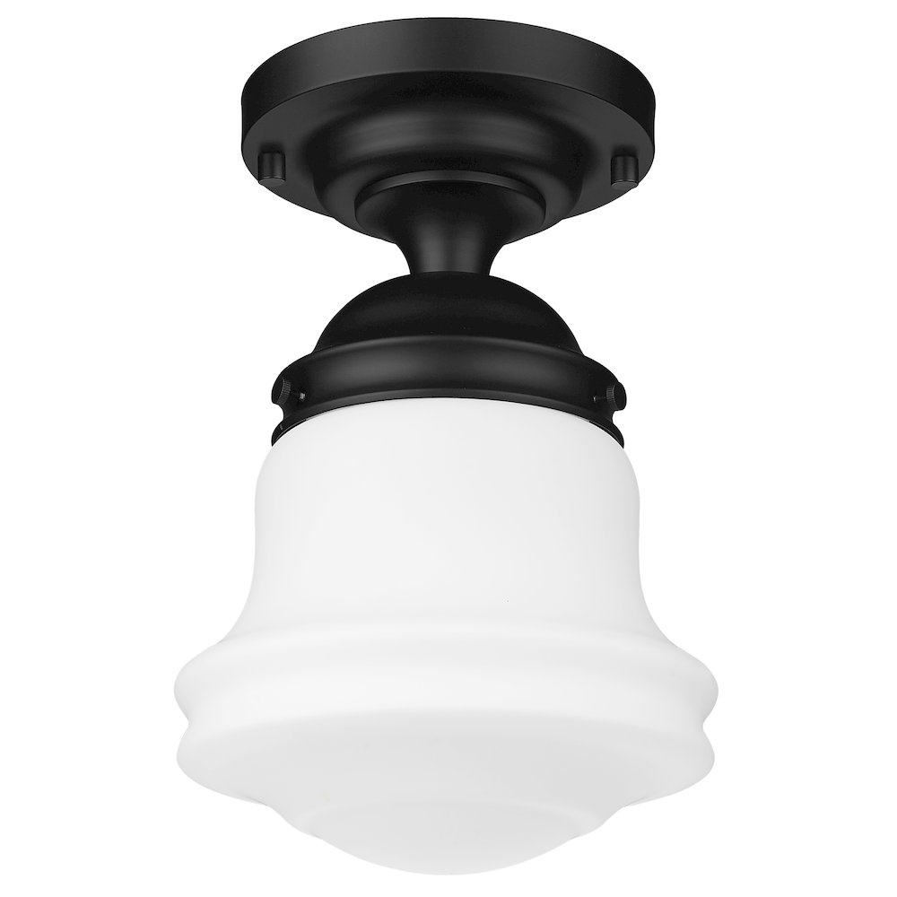 Z-Lite 1 Light Flush Mount. Picture 5