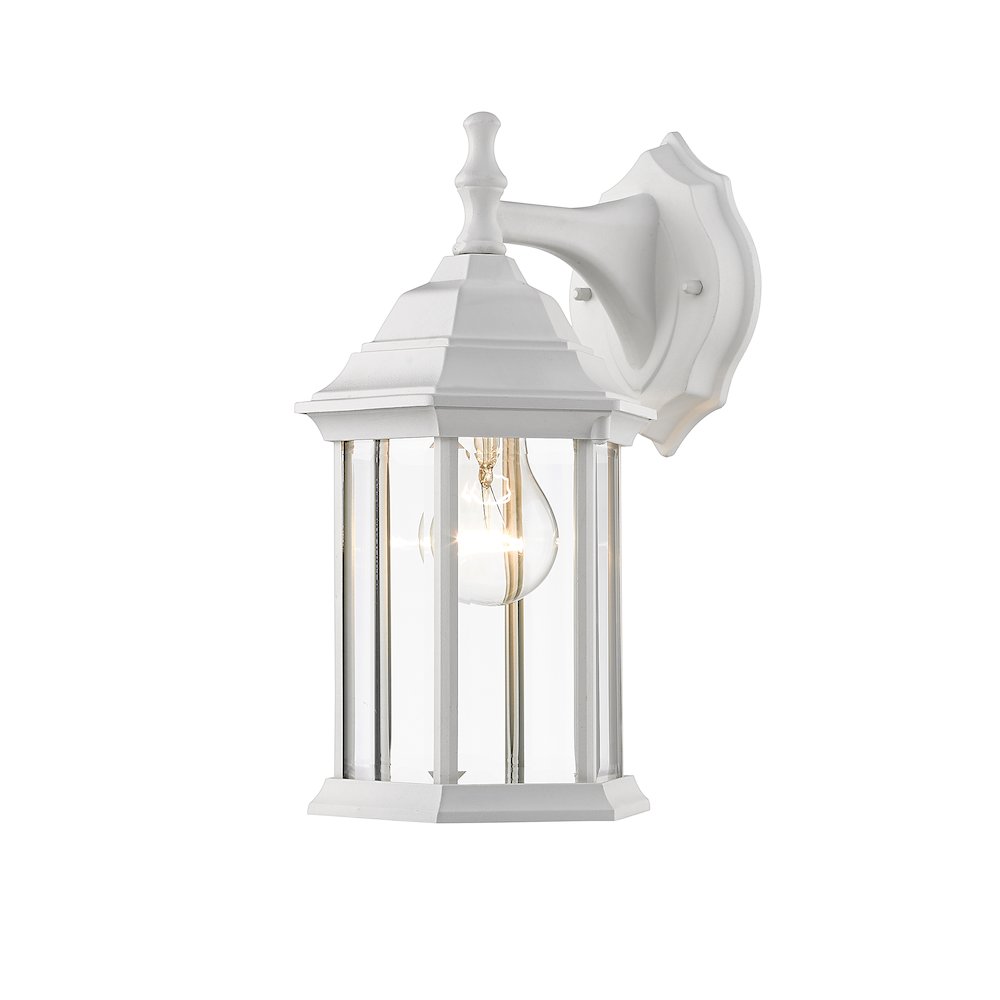 Z-Lite 1 Light Outdoor Wall Light. Picture 1