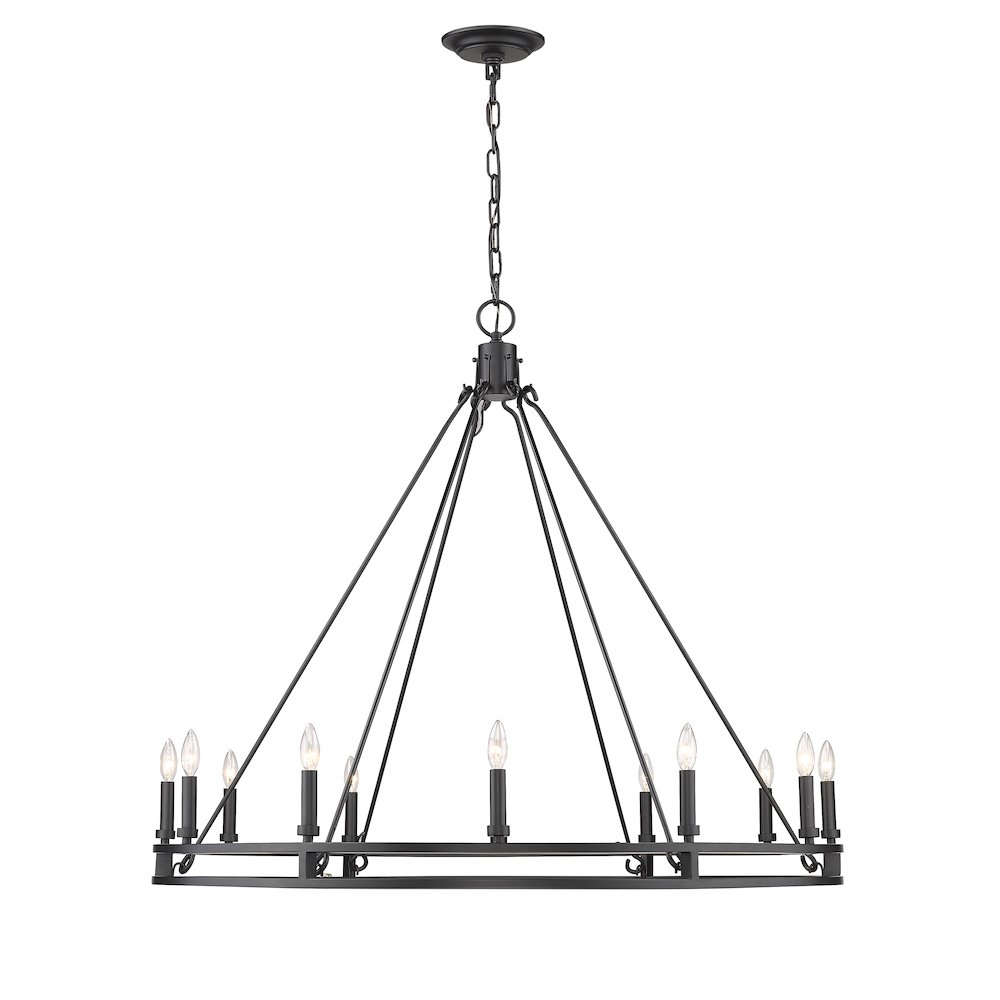Z-Lite 12 Light Chandelier. Picture 2