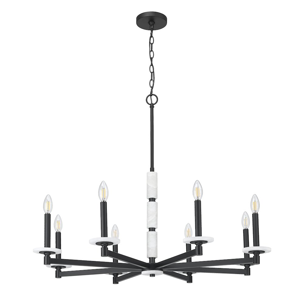 Z-Lite Kaden 8 Light Chandelier in Matte Black color, Steel frame. Picture 5