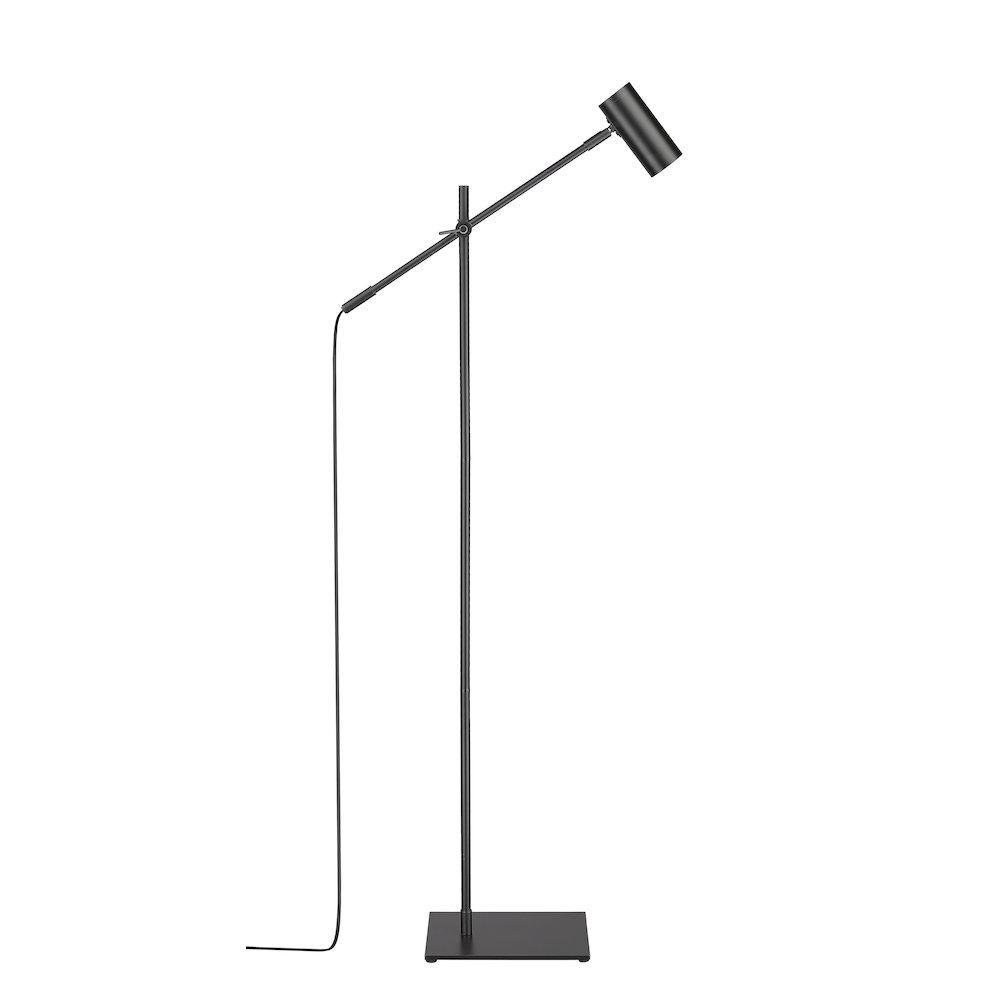 Z-Lite 1 Light Floor Lamp. Picture 2