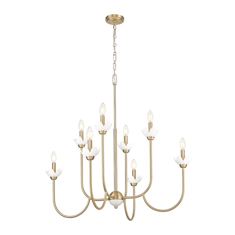 Z-Lite Allistair 8 Light Chandelier in Modern Gold color, Steel frame. Picture 3