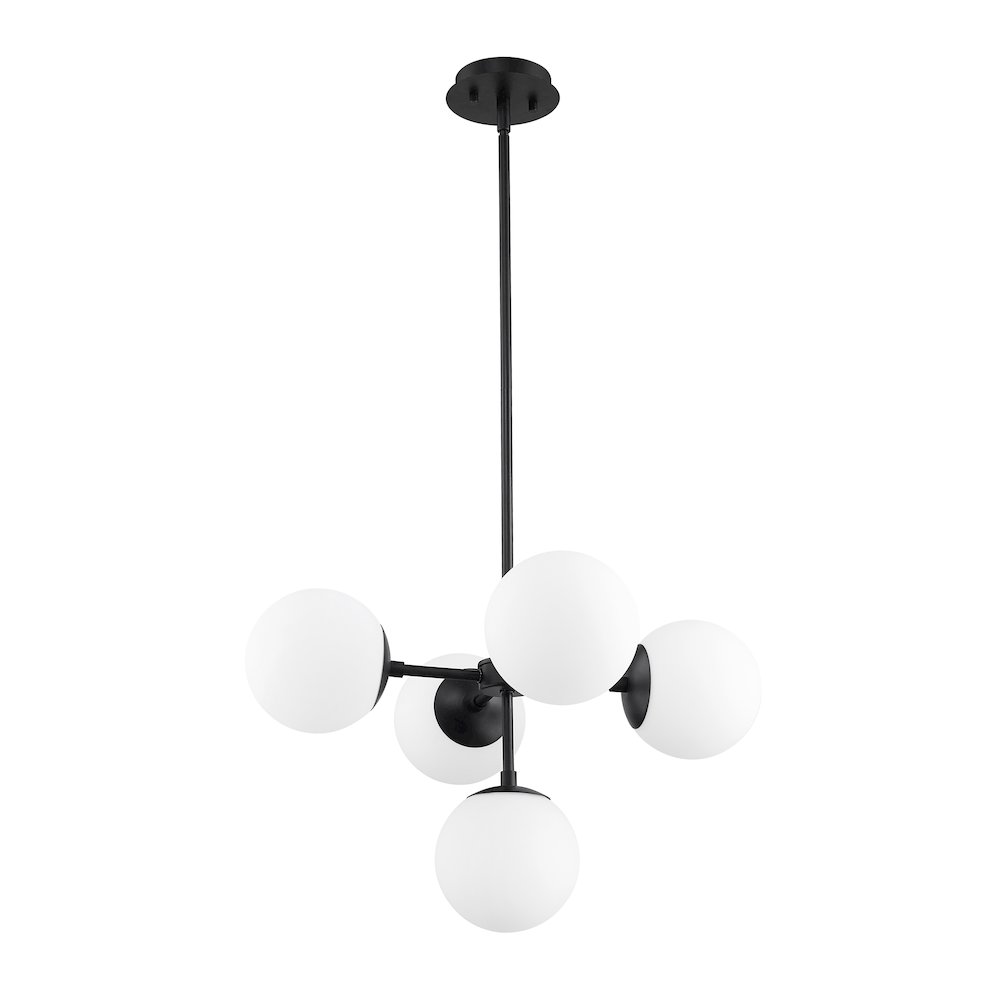 Z-Lite 5 Light Pendant. Picture 5