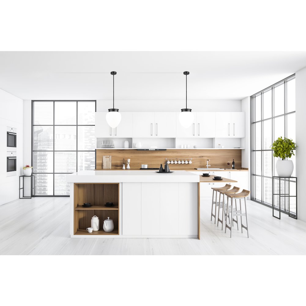 Z-Lite 1 Light Pendant. Picture 6