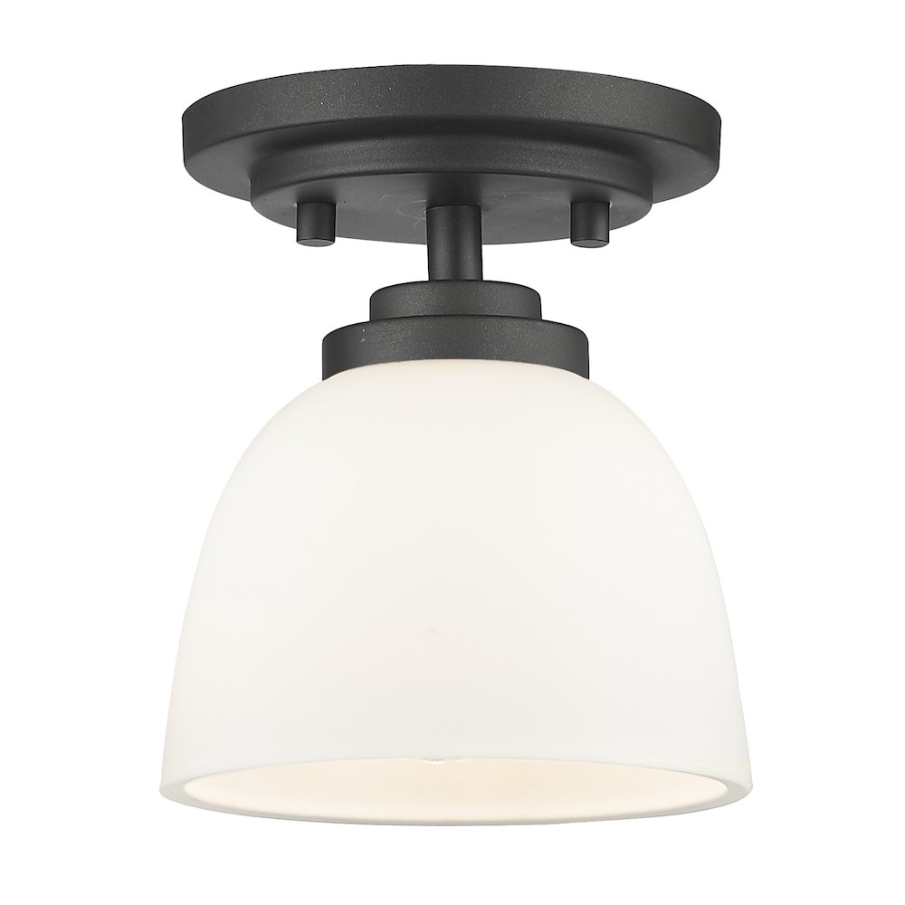 Z-Lite 1 Light Flush Mount. Picture 1