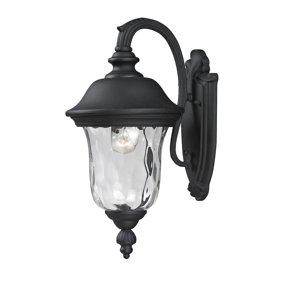 Z-Lite 1 Light Outdoor Wall Light. Picture 1