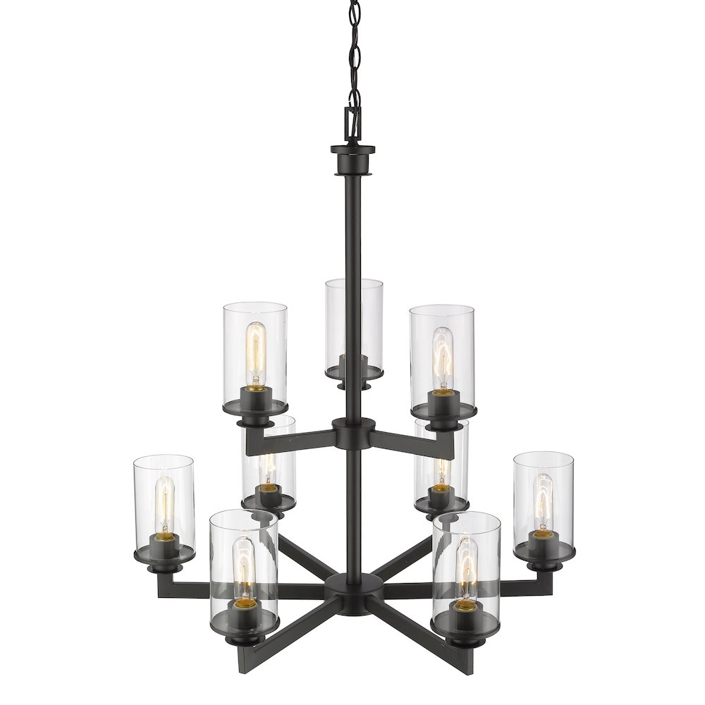 Z-Lite 9 Light Chandelier. Picture 3
