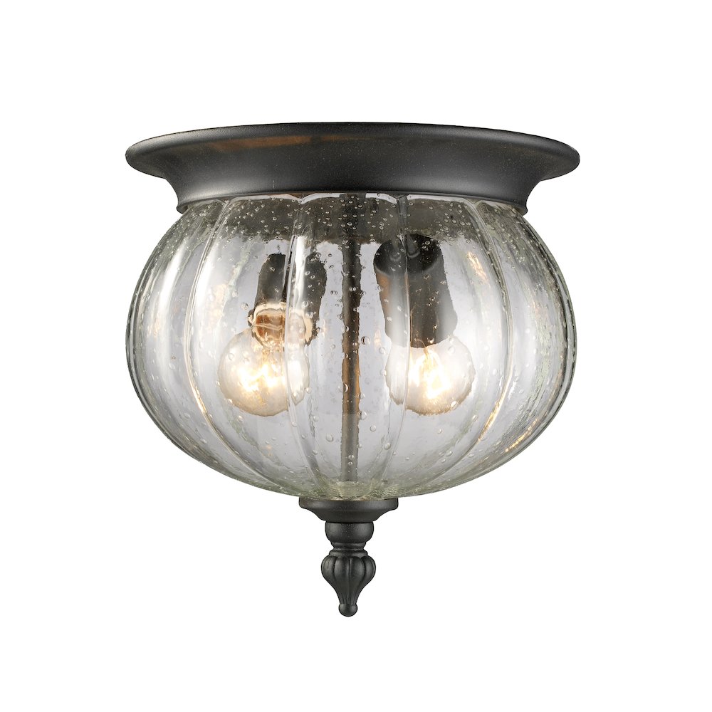 Z-Lite 2 Light Outdoor Flush Mount. Picture 1