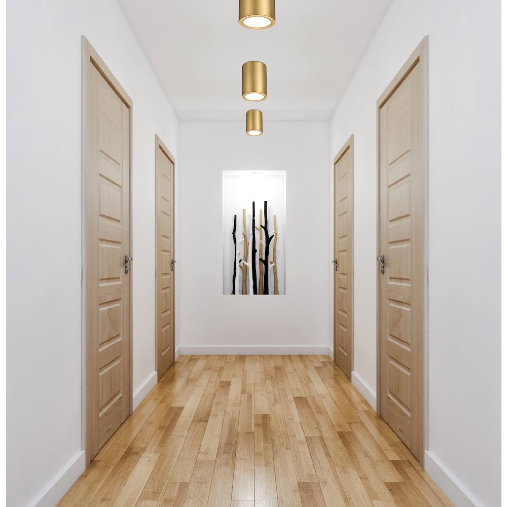 Z-Lite 1 Light Flush Mount. Picture 6