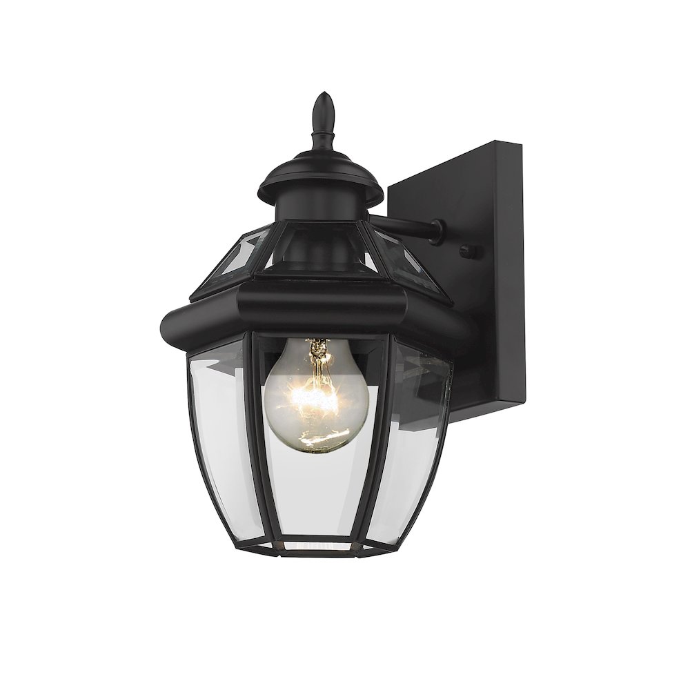 Z-Lite 1 Light Outdoor Wall Light. Picture 1