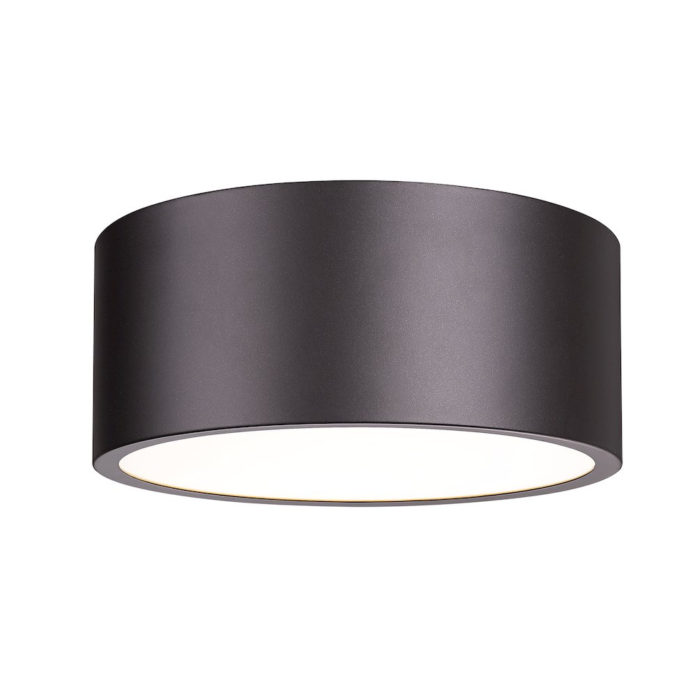 Z-Lite 2 Light Flush Mount. Picture 1