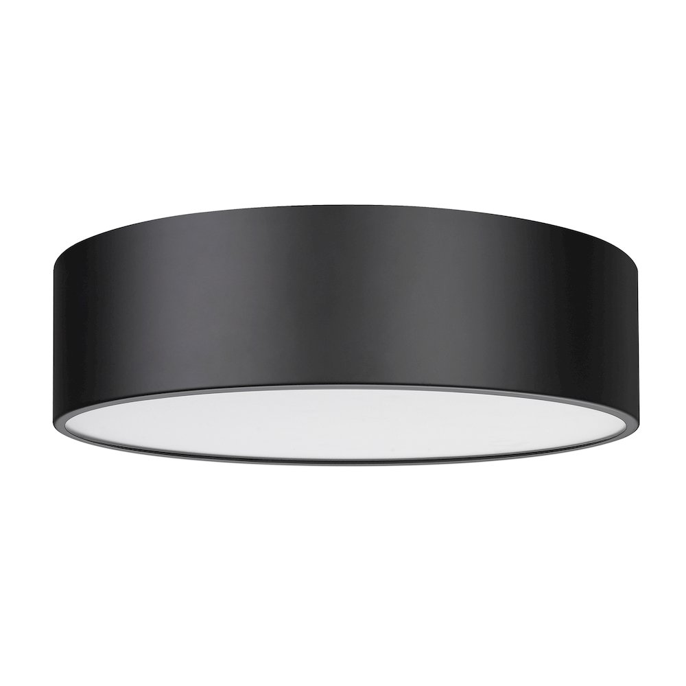 Z-Lite 4 Light Flush Mount. Picture 5