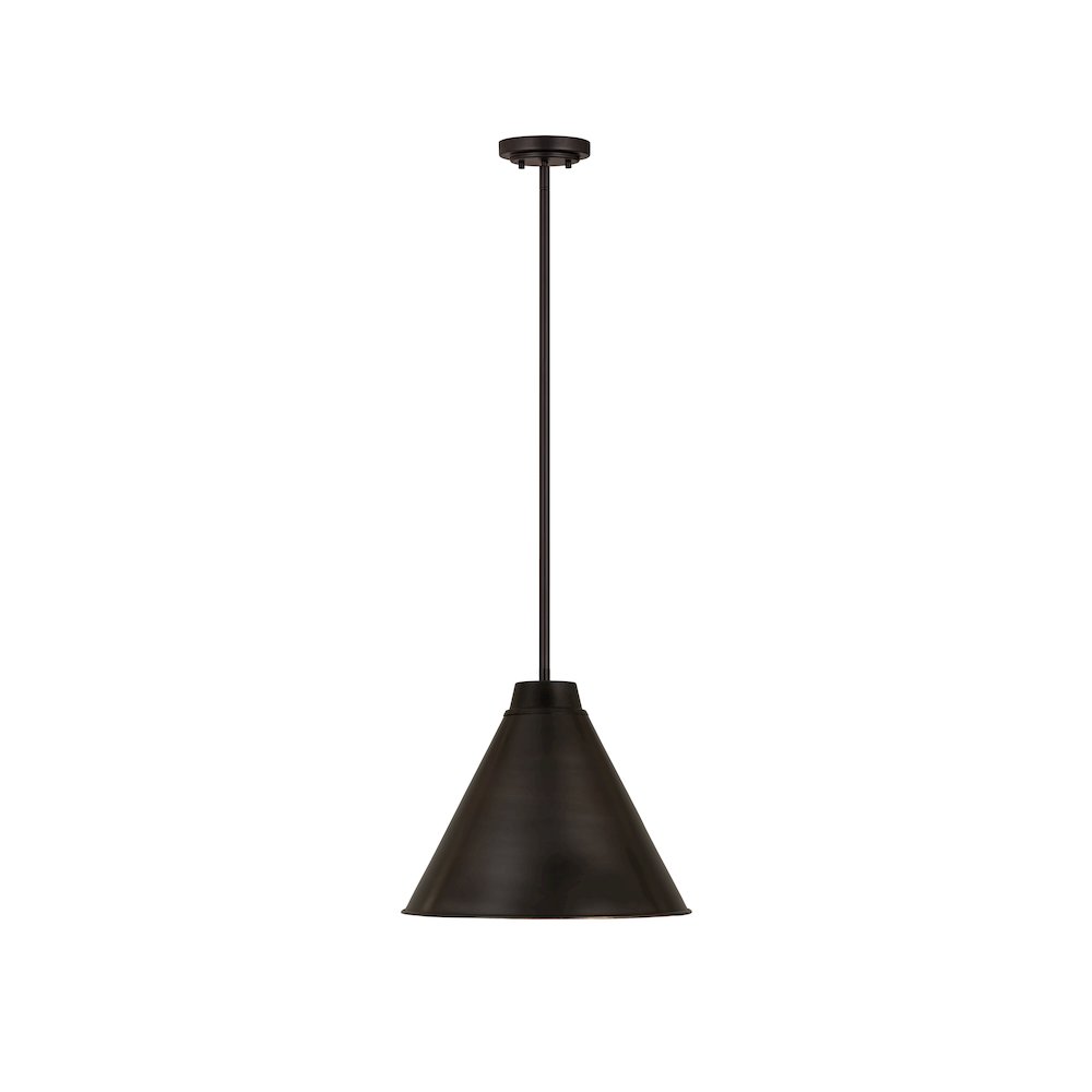 Z-Lite 1 Light Pendant. Picture 2