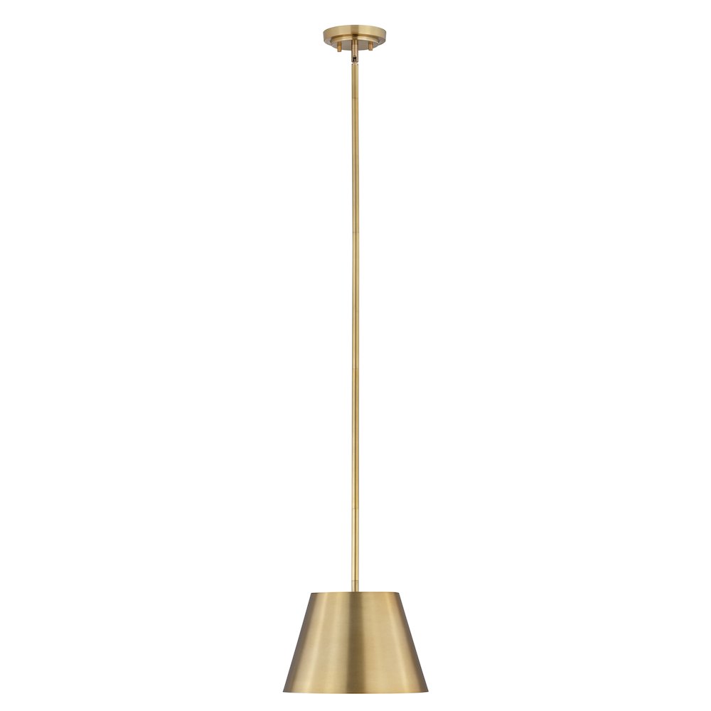 Z-Lite 1 Light Pendant. Picture 1