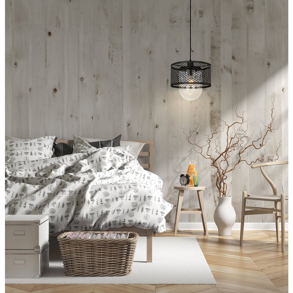 Z-Lite 1 Light Pendant. Picture 7