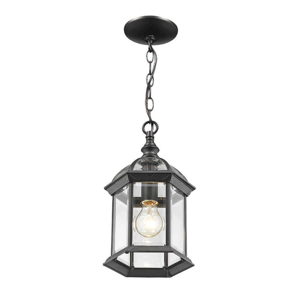 Z-Lite Annex 1 Light Outdoor Chain Mount Ceiling Fixture, Black. Picture 2