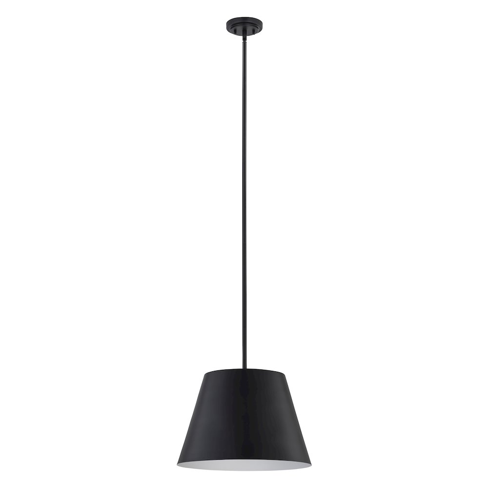 Z-Lite 1 Light Pendant. Picture 5