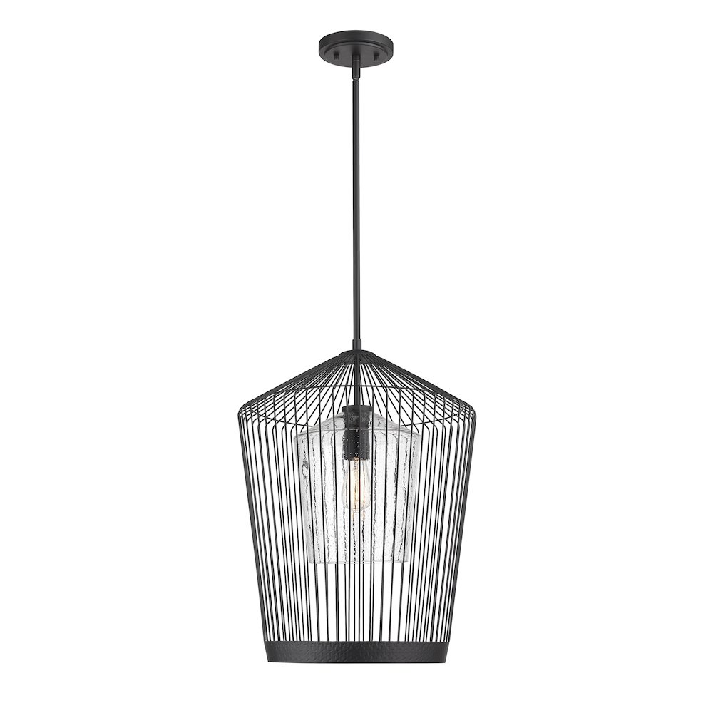 Z-Lite 1 Light Pendant. Picture 1