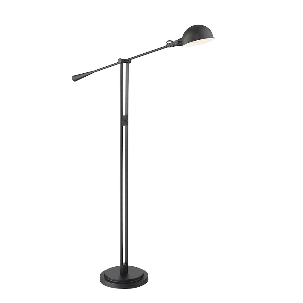 Z-Lite 1 Light Floor Lamp. Picture 3