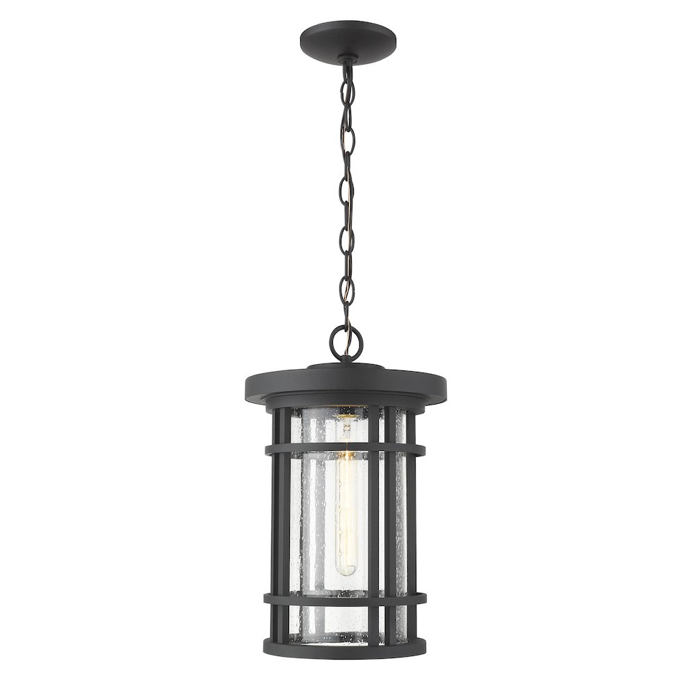 Z-Lite 1 Light Outdoor Chain Mount Ceiling Fixture. Picture 1