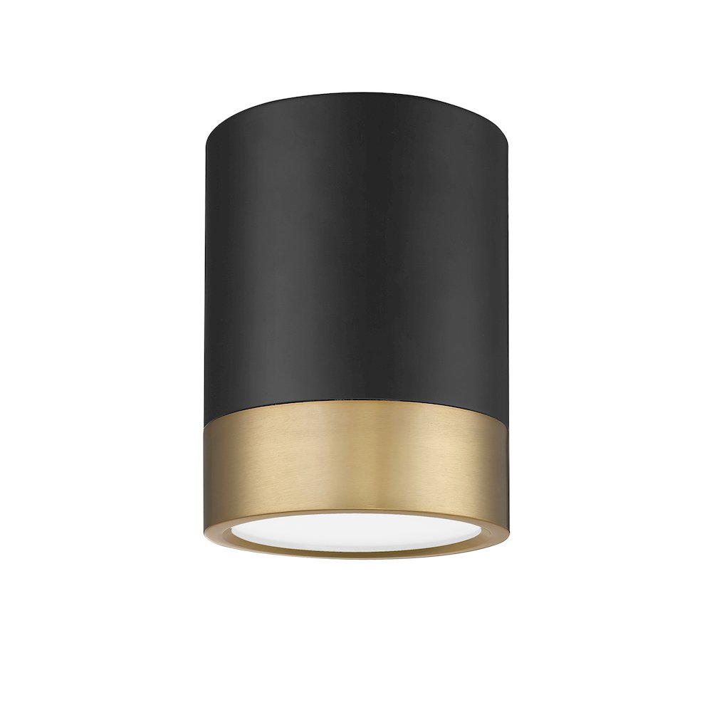 Z-Lite 1 Light Flush Mount. Picture 5