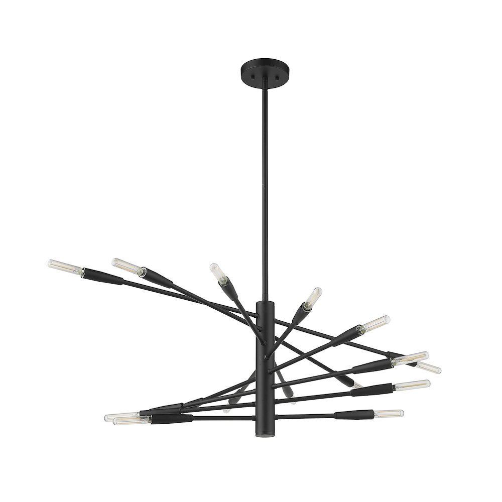 Z-Lite 16 Light Chandelier. Picture 5