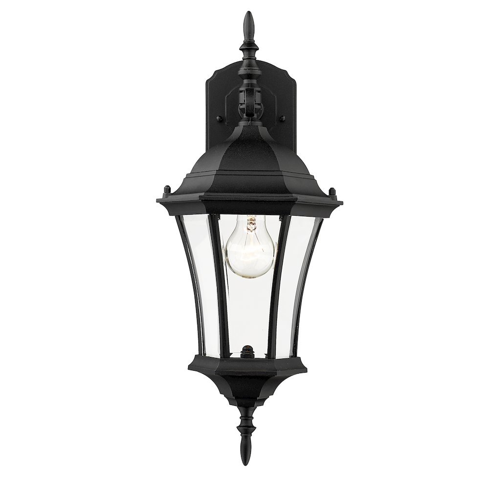 Z-Lite 1 Light Outdoor Wall Light. Picture 3