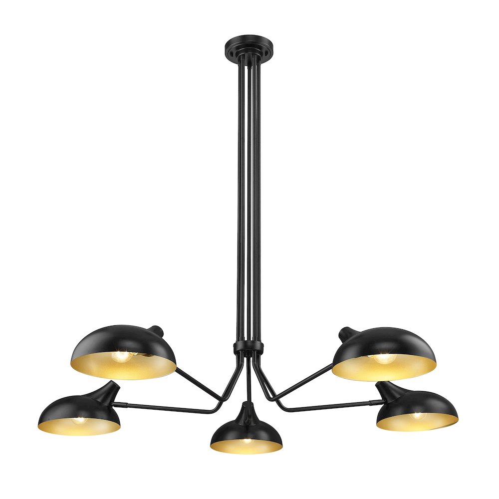 Z-Lite 5 Light Chandelier. Picture 3