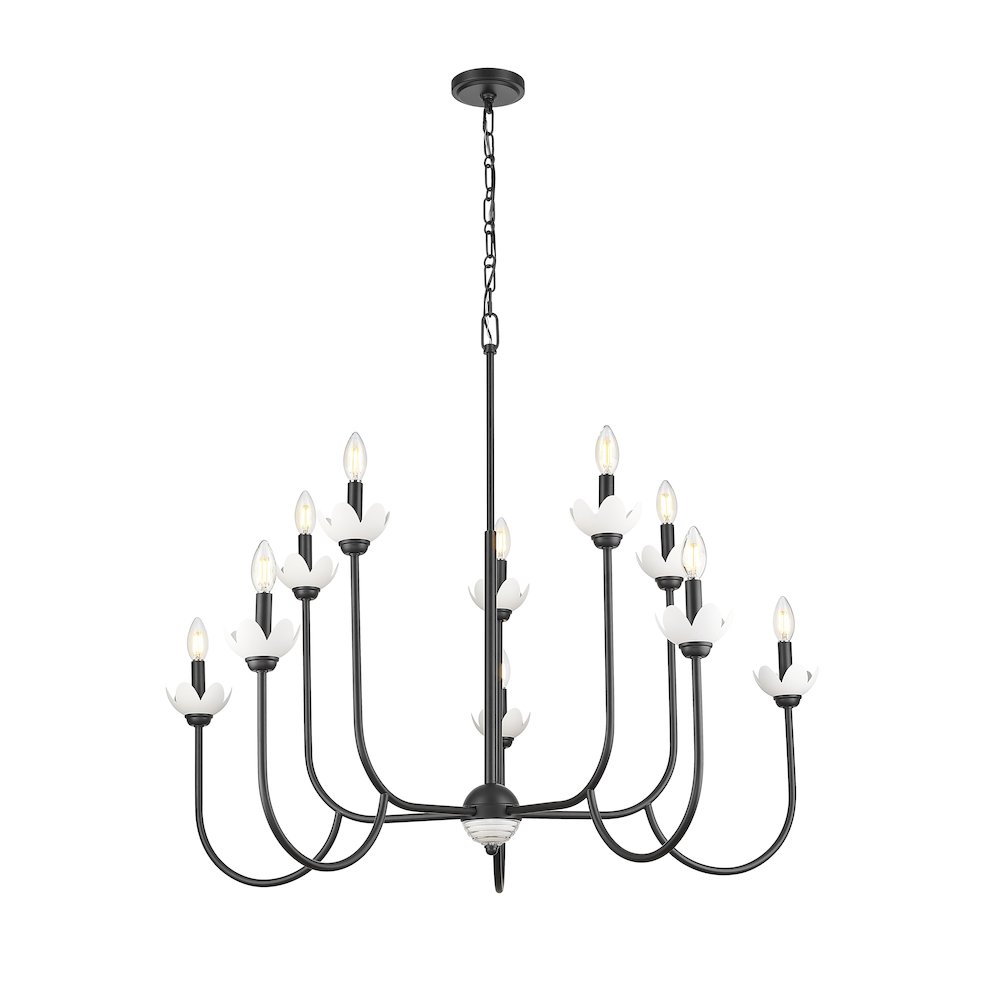 Z-Lite Allistair 10 Light Chandelier in Matte Black color, Steel frame. Picture 3