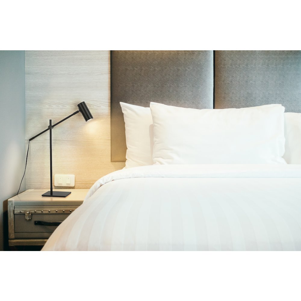 Z-Lite 1 Light Table Lamp. Picture 7