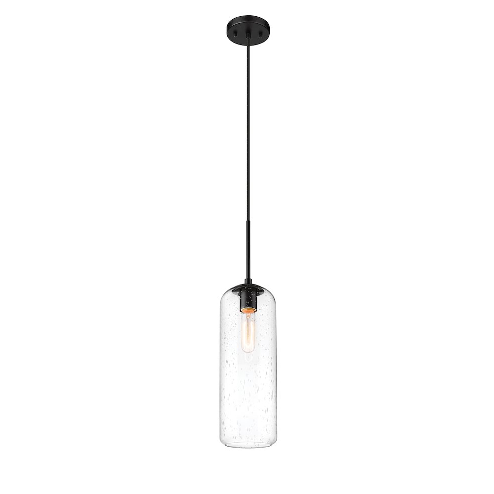 Z-Lite 1 Light Pendant. Picture 1