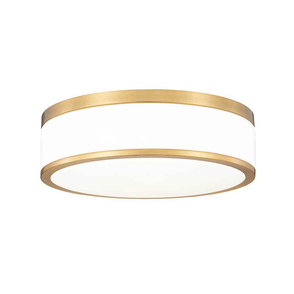 Z-Lite 1 Light Flush Mount. Picture 1