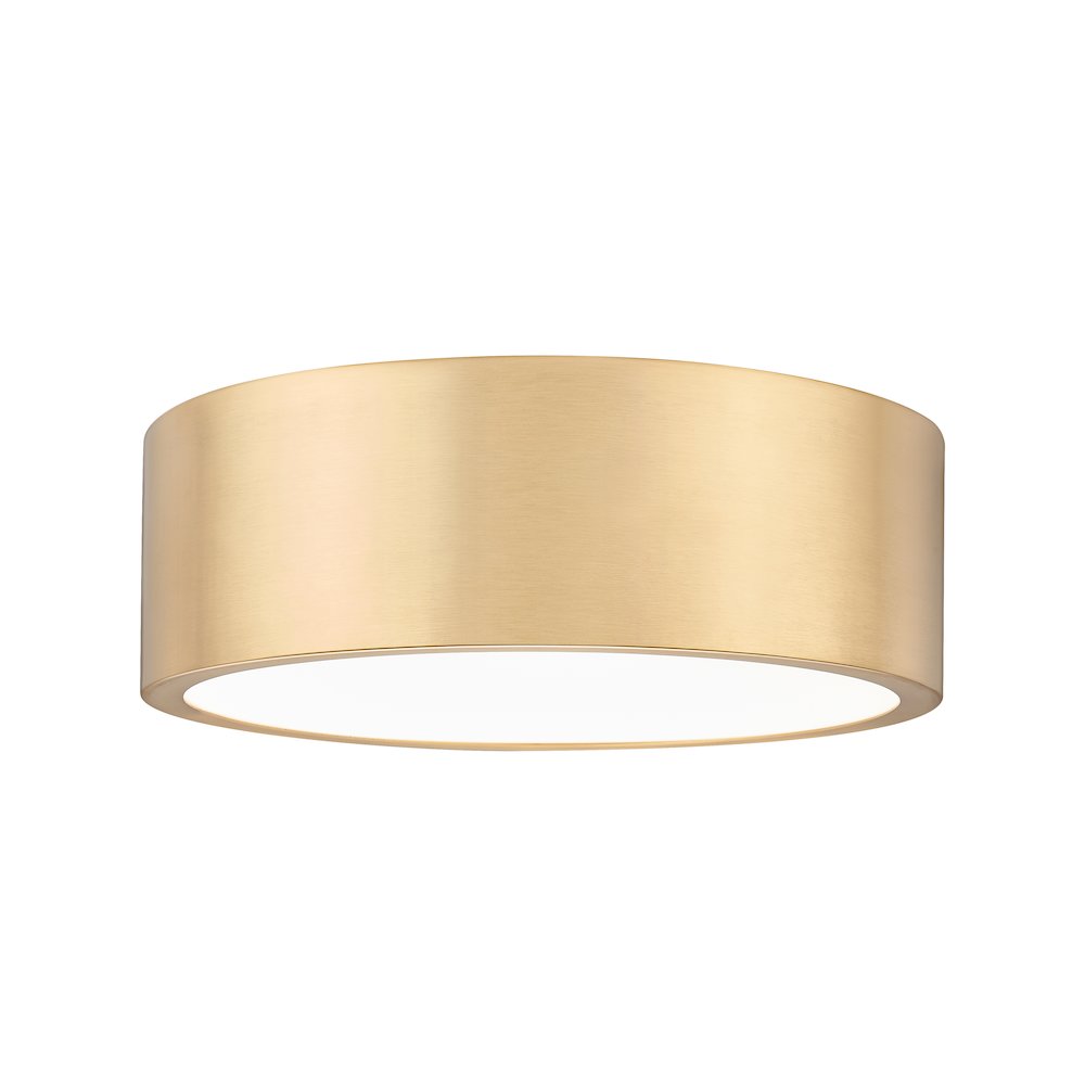 Z-Lite 1 Light Flush Mount. Picture 1