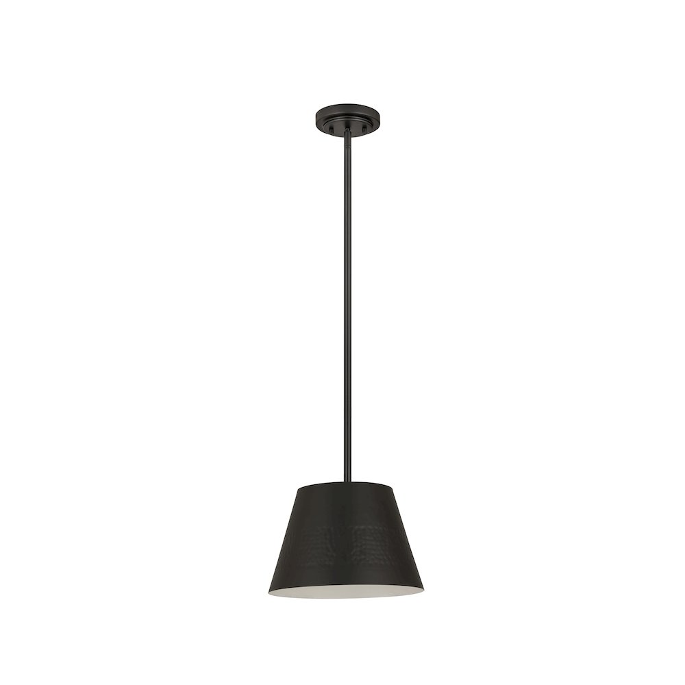 Z-Lite 1 Light Pendant. Picture 5