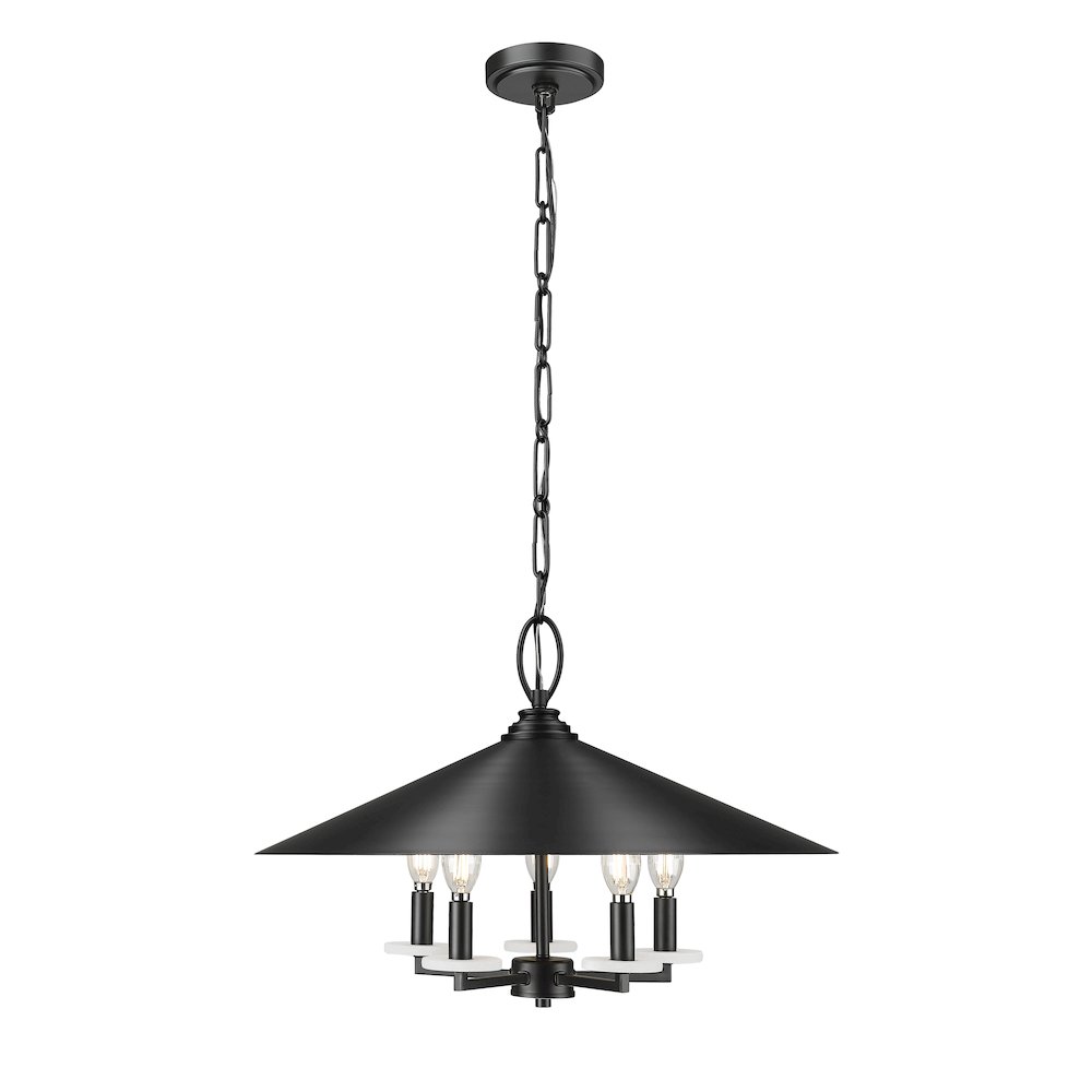 Z-Lite 5 Light Pendant. Picture 2