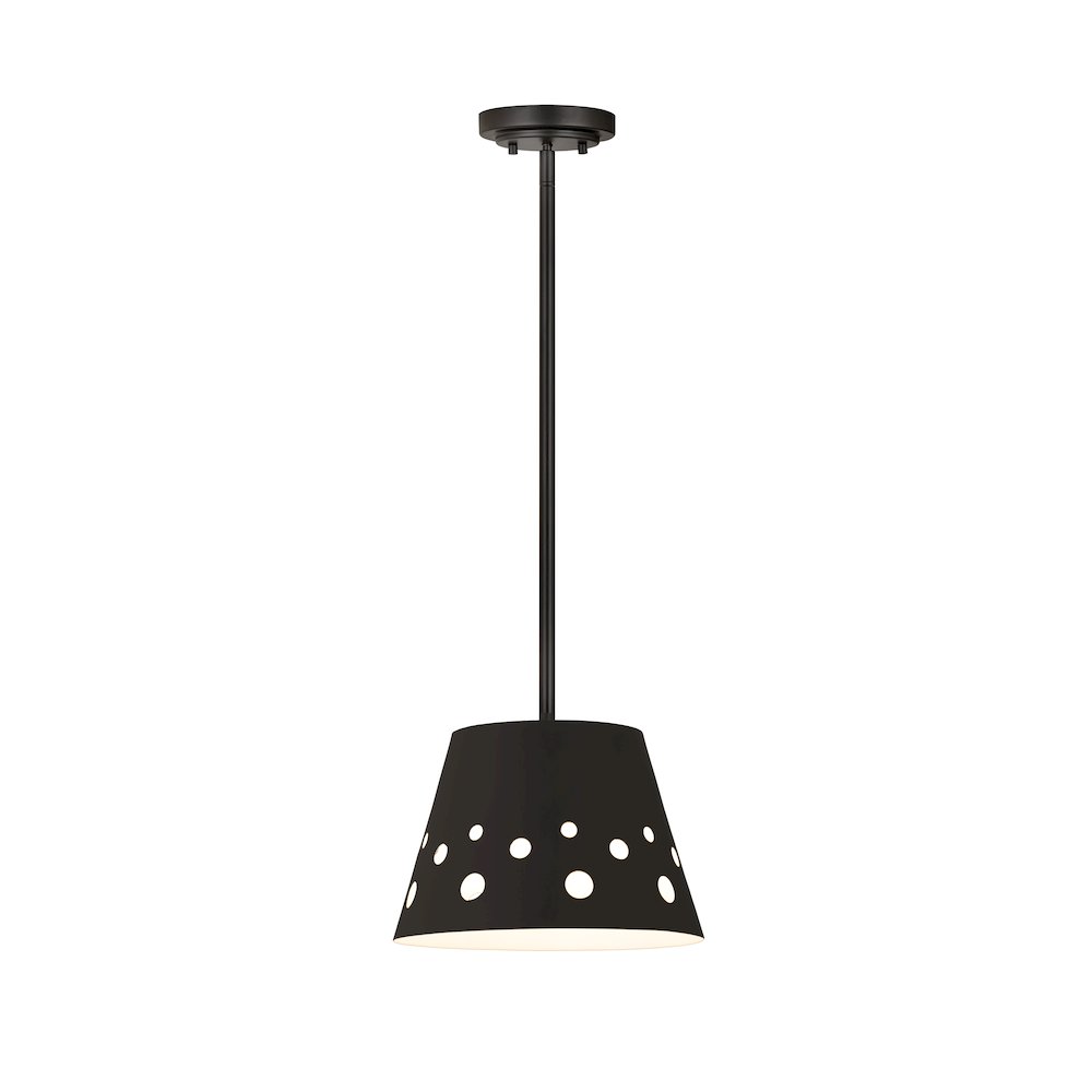 Z-Lite 1 Light Pendant. Picture 1