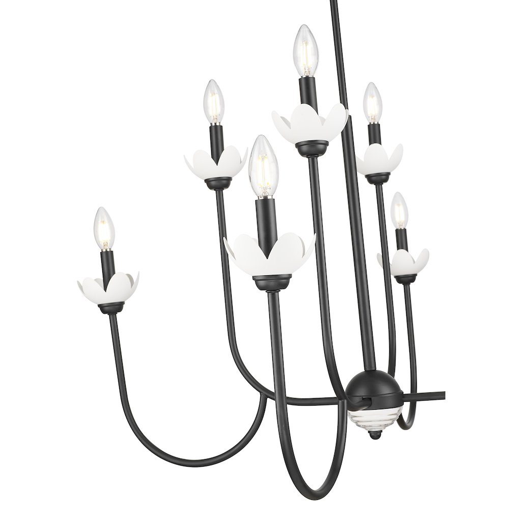 Z-Lite Allistair 8 Light Chandelier in Matte Black color, Steel frame. Picture 4