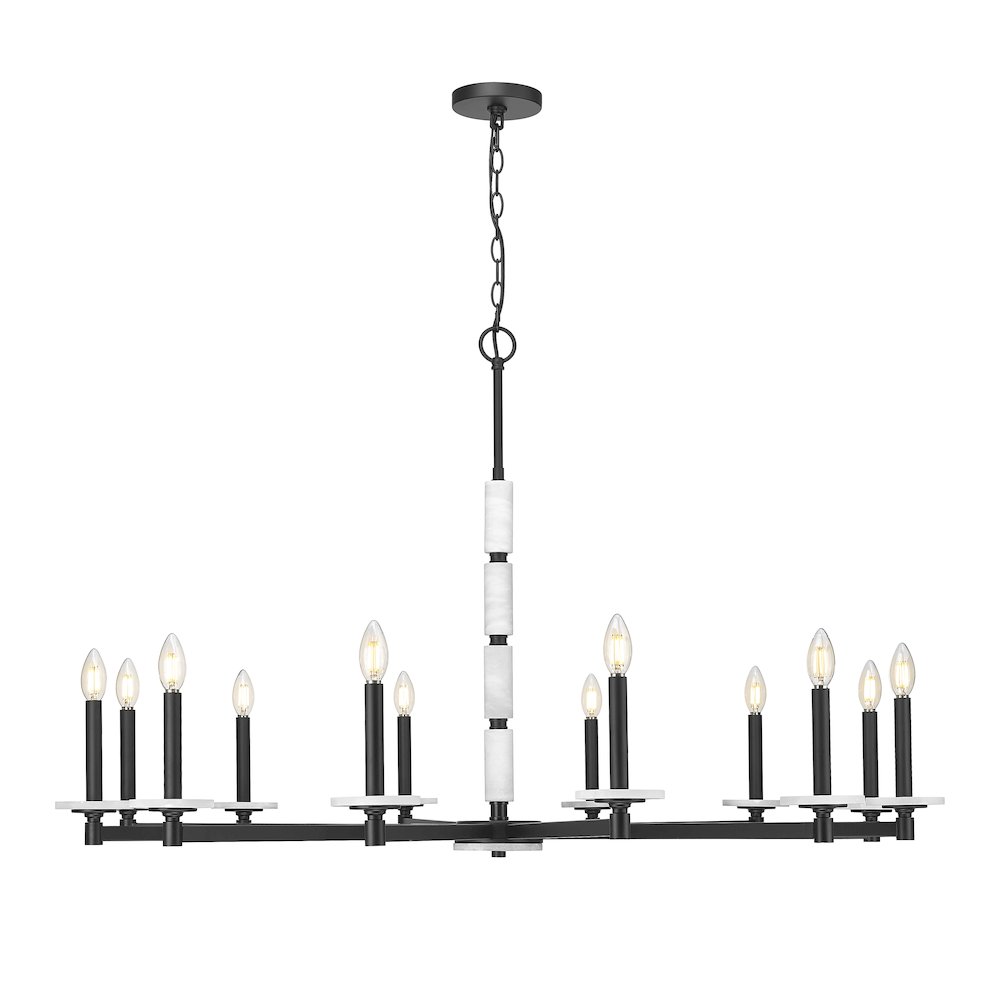 Z-Lite Kaden 12 Light Chandelier in Matte Black color, Steel frame. Picture 3