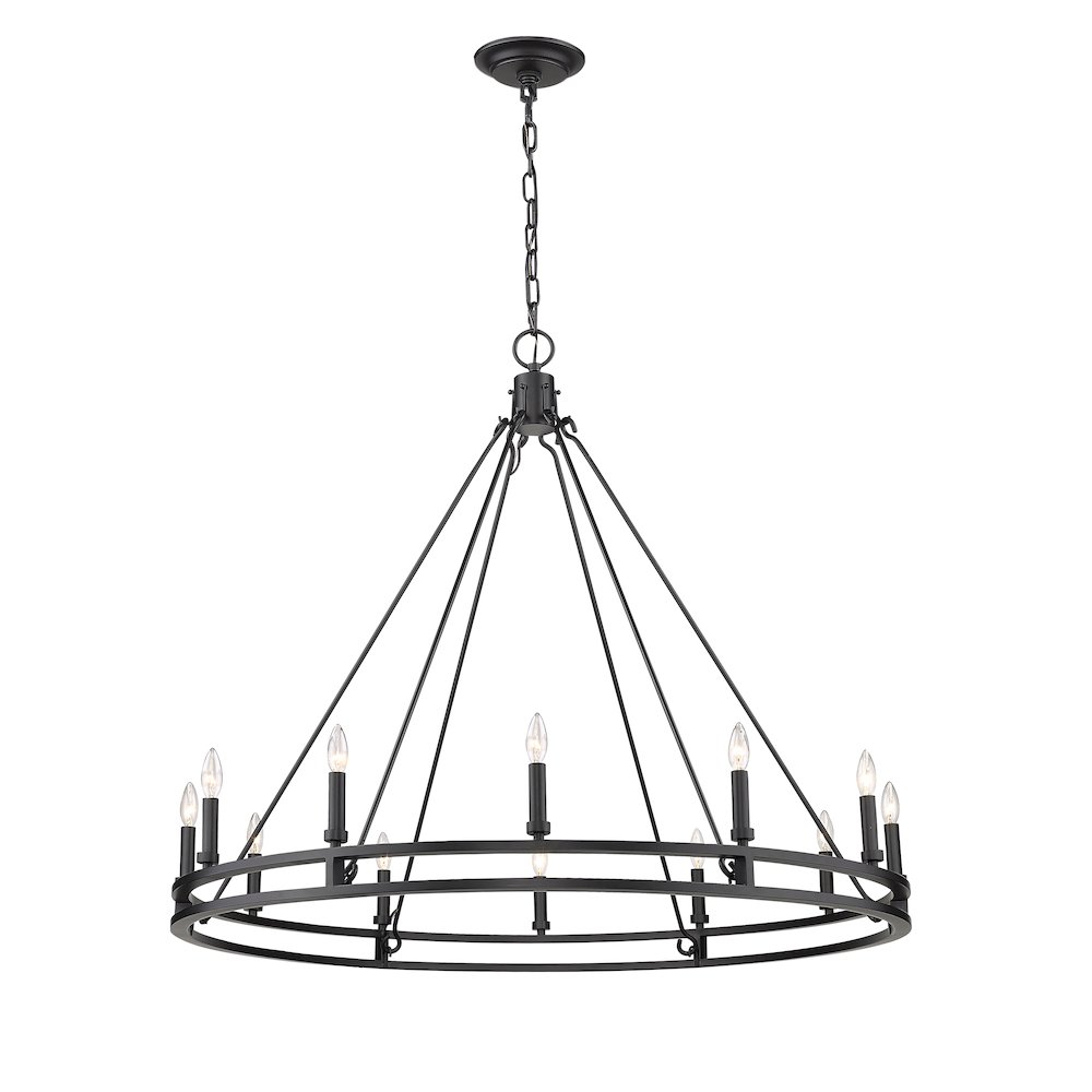 Z-Lite 12 Light Chandelier. Picture 1