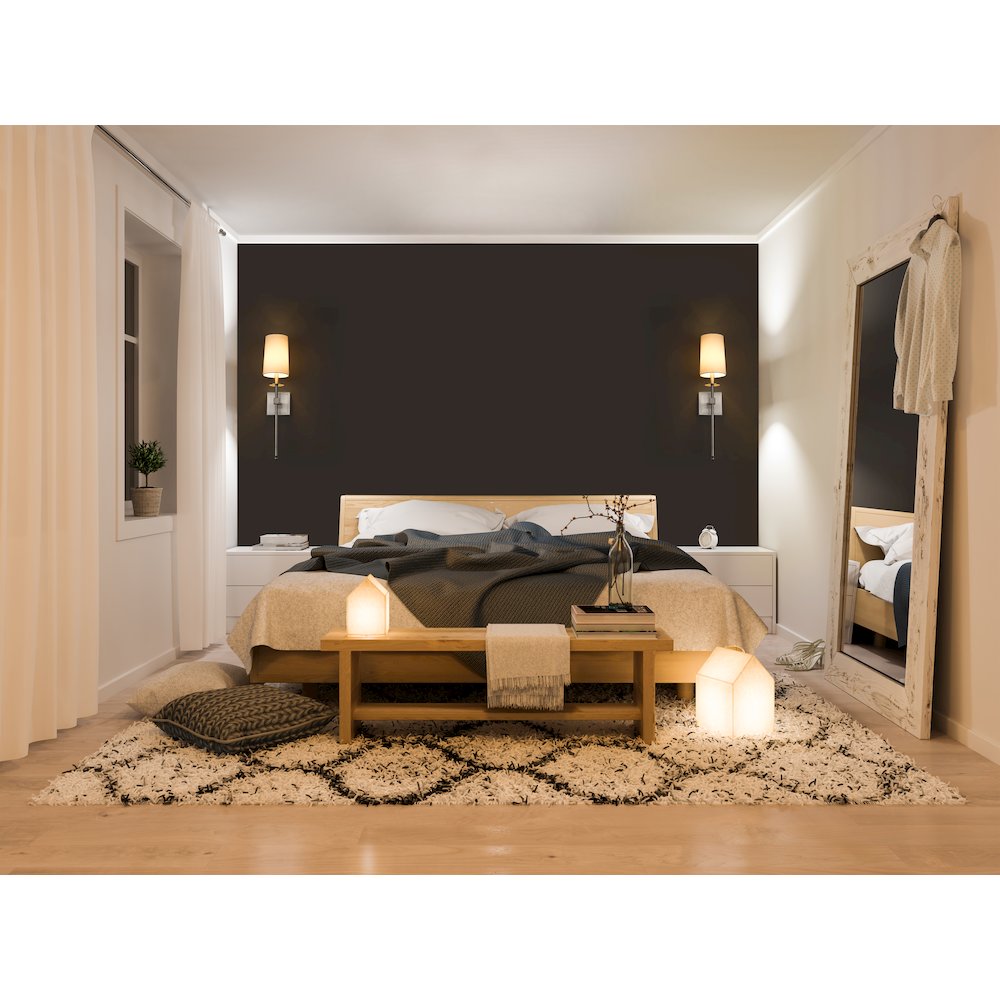 Z-Lite 1 Light Wall Sconce. Picture 7