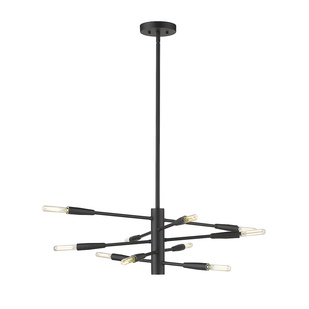 Z-Lite 10 Light Chandelier. Picture 2