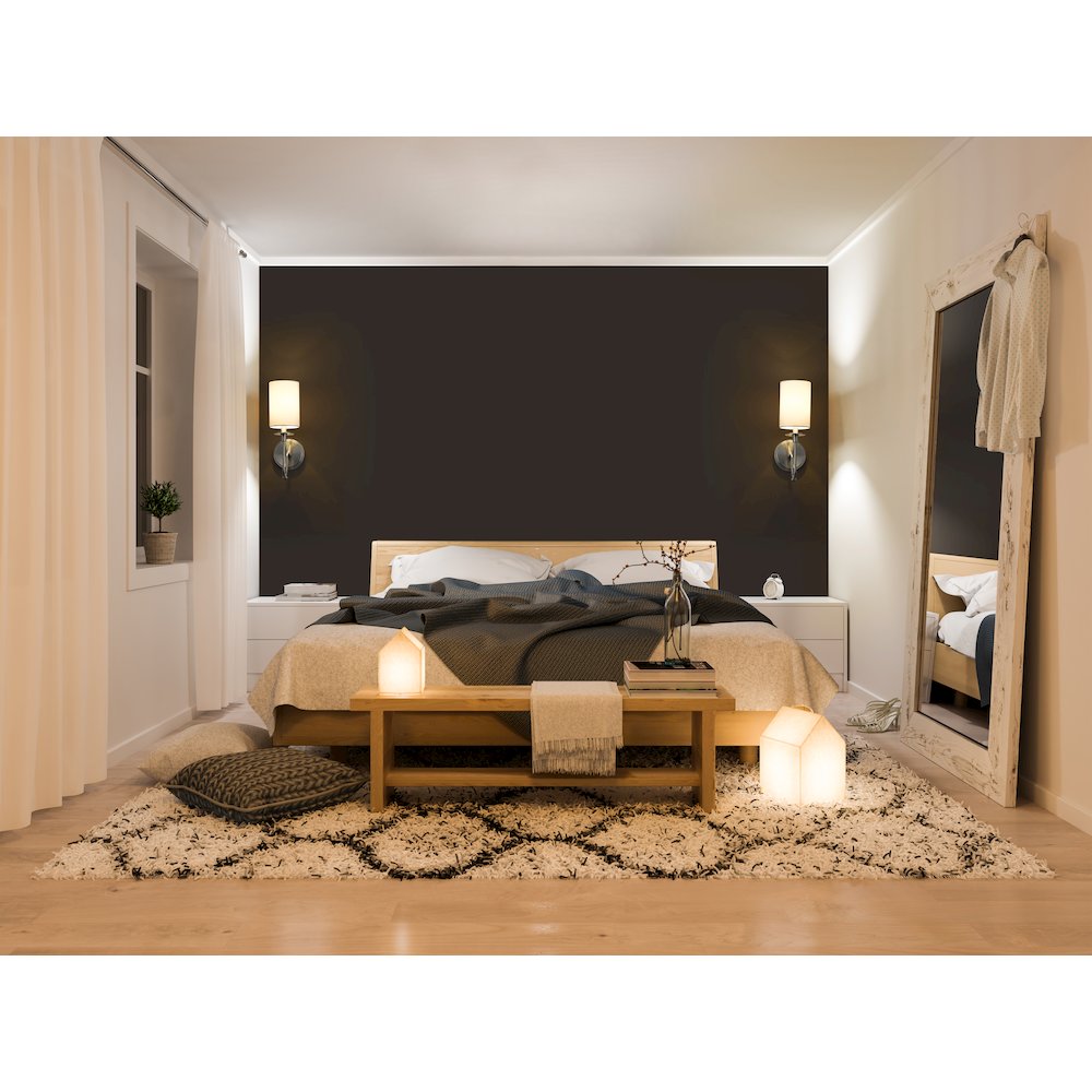 Z-Lite 1 Light Wall Sconce. Picture 7