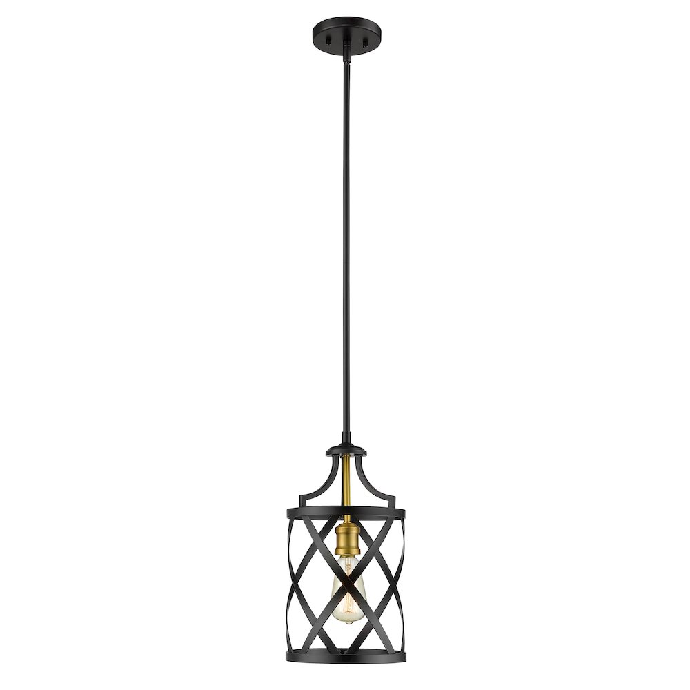Z-Lite 1 Light Pendant. Picture 1