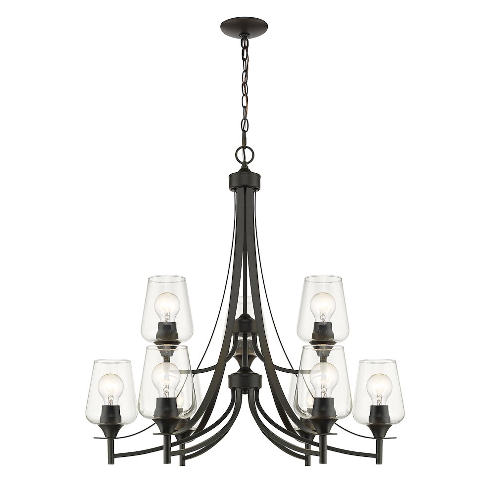 Z-Lite 9 Light Chandelier. Picture 1