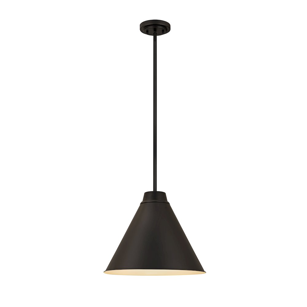 Z-Lite 1 Light Pendant. Picture 1