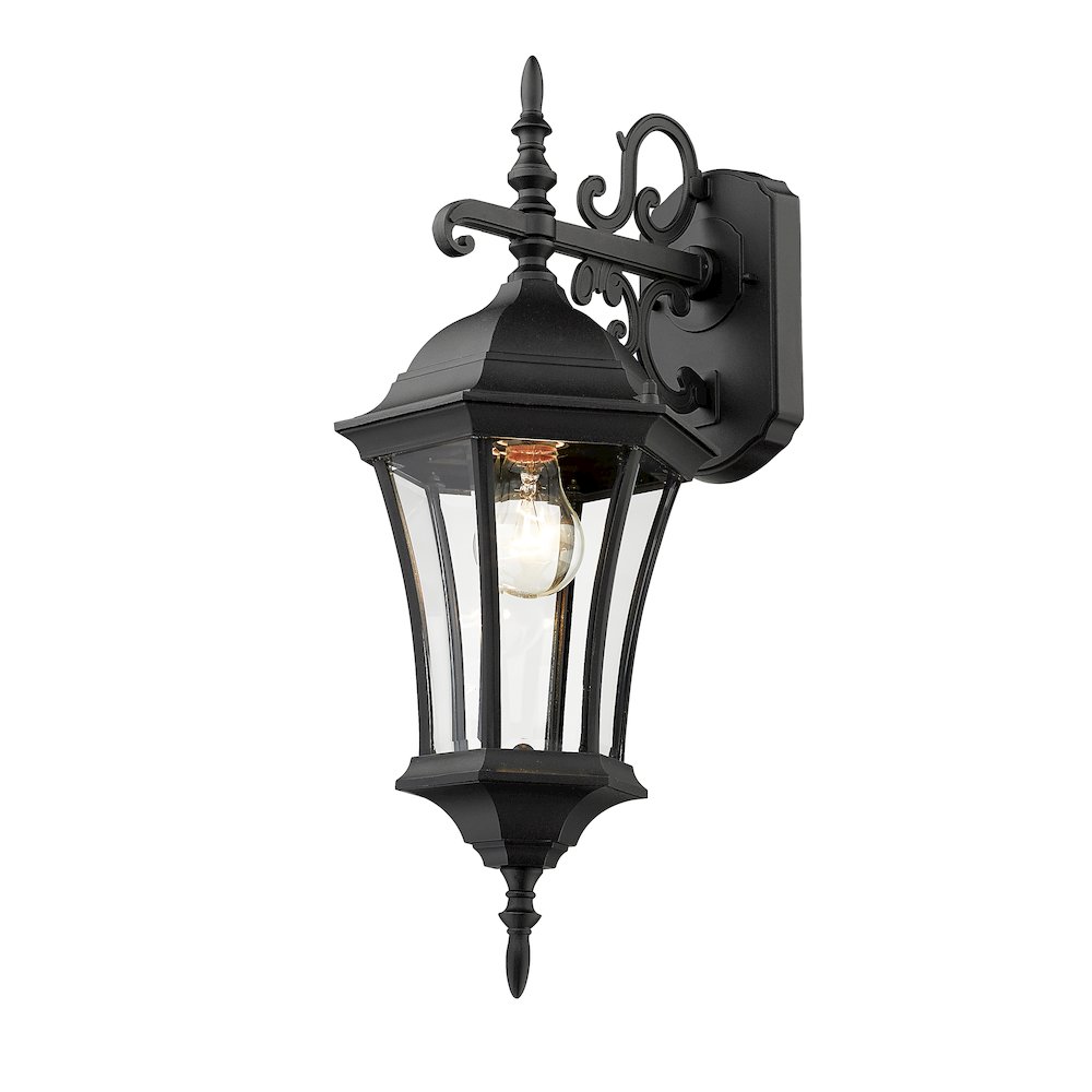 Z-Lite 1 Light Outdoor Wall Light. Picture 2