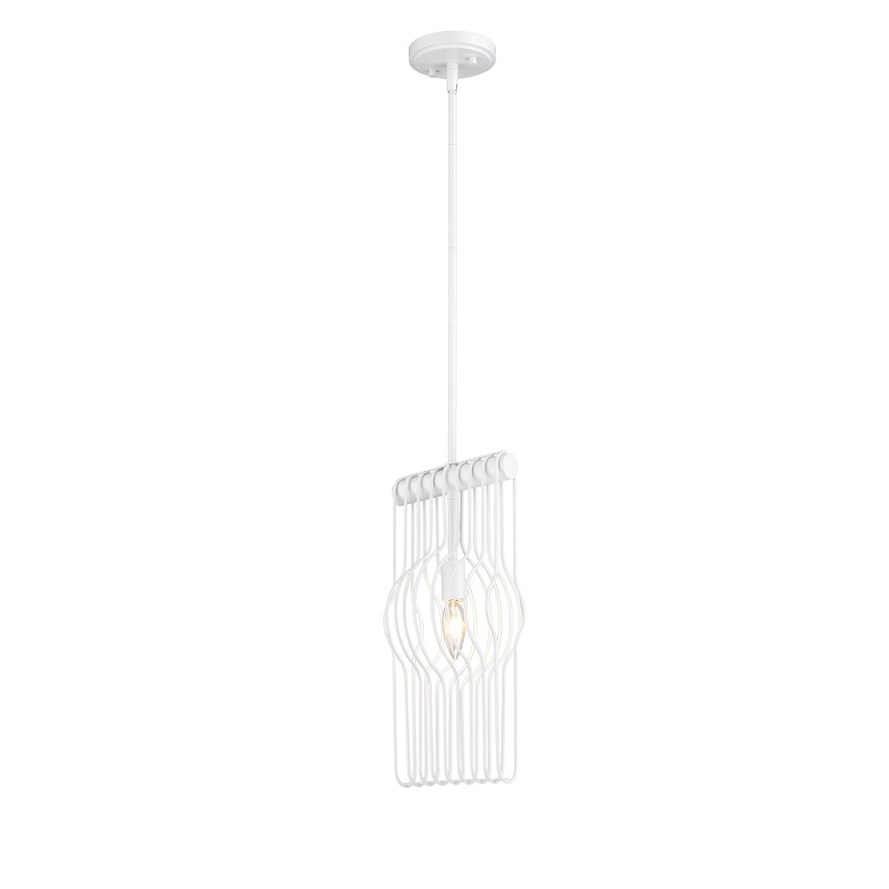 Z-Lite 1 Light Pendant. Picture 1